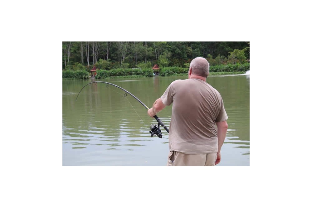 Offering discounts Catmaster Tackle Discount Catmaster Dominator Catfish  Rod at